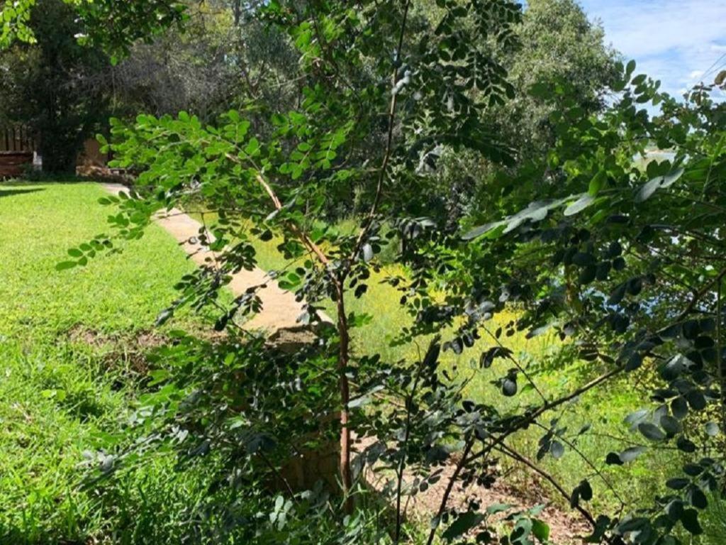 Juda Haus Lodge Katima Mulilo Zewnętrze zdjęcie